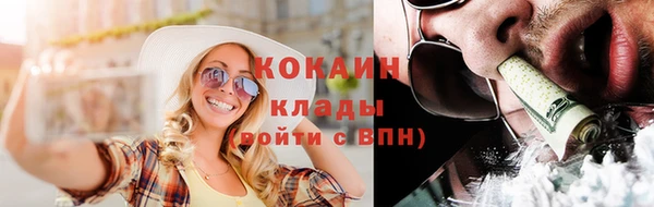 ГАЛЛЮЦИНОГЕННЫЕ ГРИБЫ Покровск
