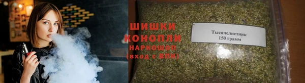 ГАЛЛЮЦИНОГЕННЫЕ ГРИБЫ Покровск