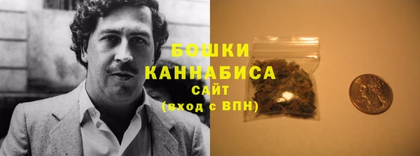 ГАЛЛЮЦИНОГЕННЫЕ ГРИБЫ Покровск