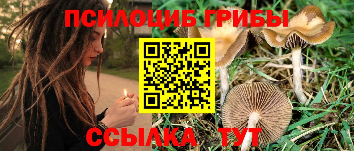 Галлюциногенные грибы мухоморы Рославль